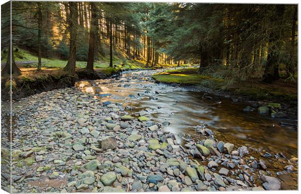 Lady Clough Canvas Print by Jonathan Swetnam