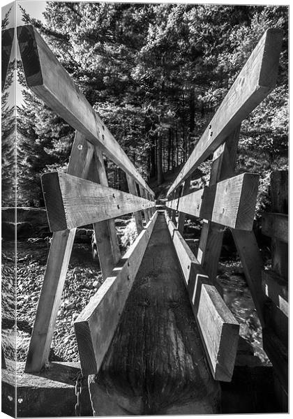 Bridge over not so troubled water - mono Canvas Print by Jonathan Swetnam