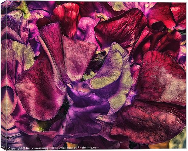 A Vivid Tapestry of Sweetpeas Canvas Print by Fiona Messenger