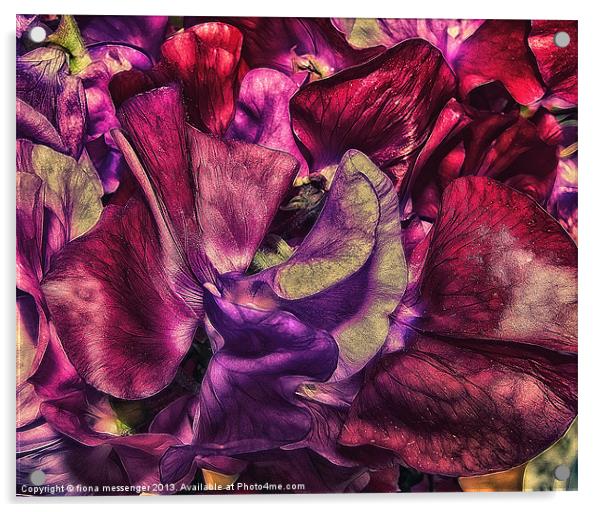 A Vivid Tapestry of Sweetpeas Acrylic by Fiona Messenger