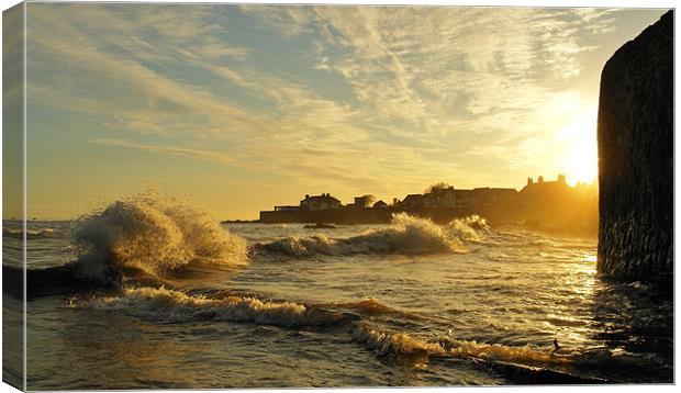 Anstruther Waves Canvas Print by Bob Legg