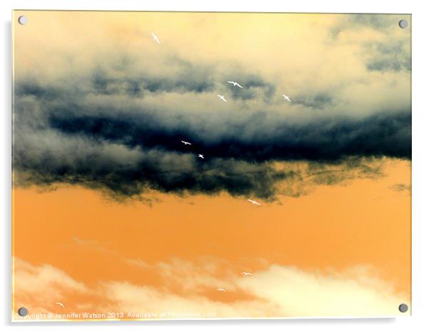 Flying Away Acrylic by Jennifer Henderson