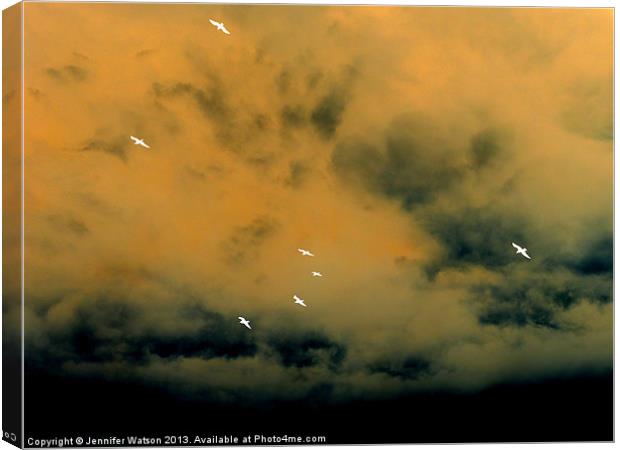 Flying Off Canvas Print by Jennifer Henderson