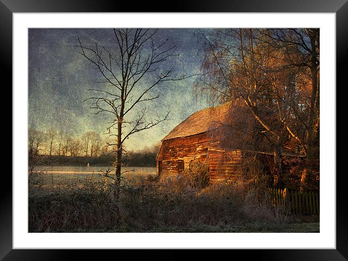 Old Barn Framed Mounted Print by Dawn Cox