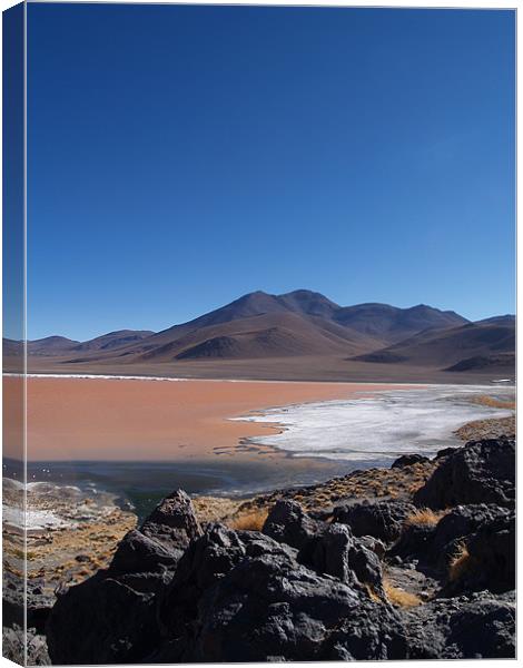 Bolivian Salt Flats Canvas Print by Belinda Cook