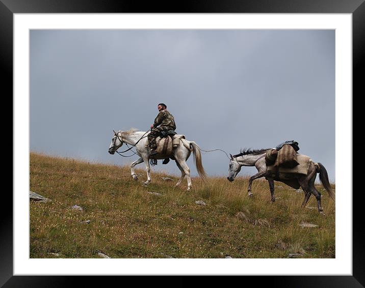 Georgian pack horse Framed Mounted Print by Belinda Cook