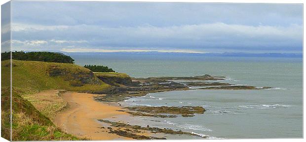 NORTH BERWICK BEACH Canvas Print by dale rys (LP)