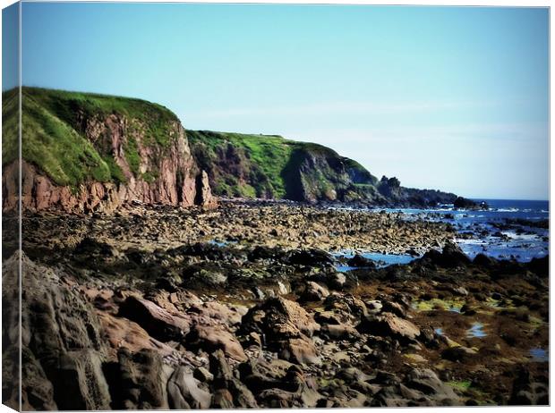 beach of stonehaven Canvas Print by dale rys (LP)