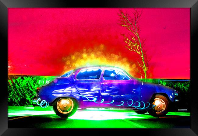 Saabs Delight Framed Print by Andrew Vernon