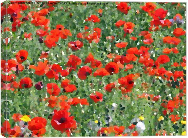poppy painting Canvas Print by Anthony Kellaway