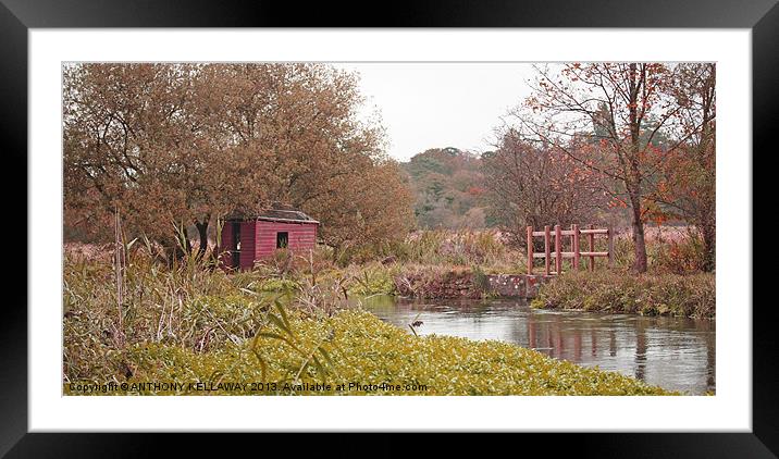 FISHING HUT ON THE RIVER ITCHEN Framed Mounted Print by Anthony Kellaway
