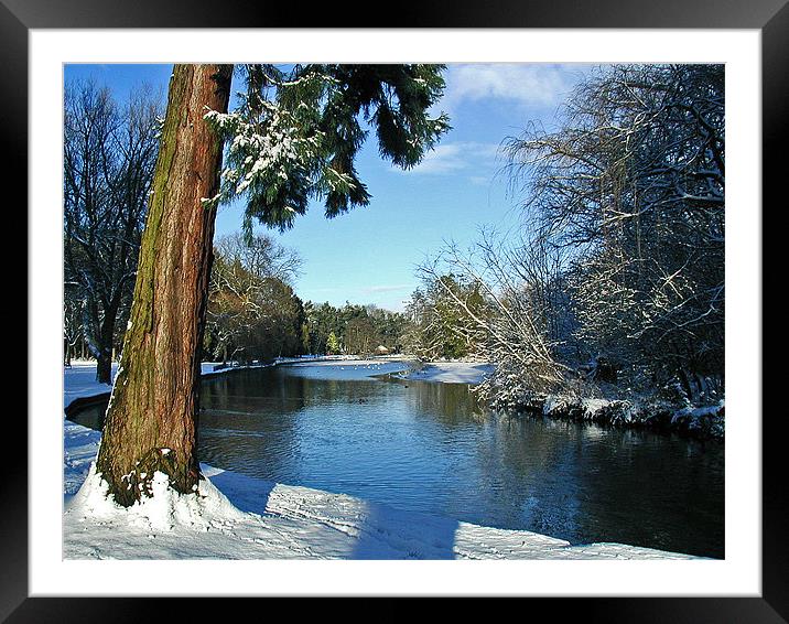 Brueton lake Framed Mounted Print by Simon Curtis