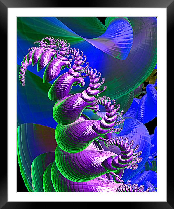 Cockles and Mussels Framed Mounted Print by Abstract  Fractal Fantasy