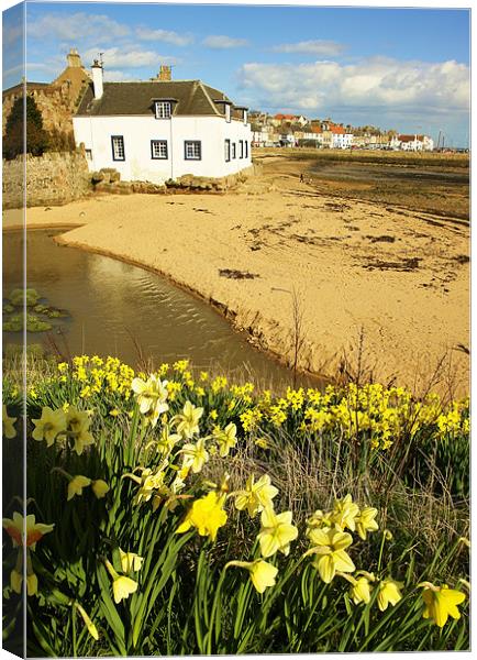 Anstruther Spring Flowers Canvas Print by Bob Legg