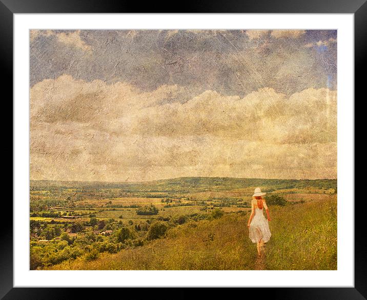 A Perfect Summers Day Framed Mounted Print by Dawn Cox