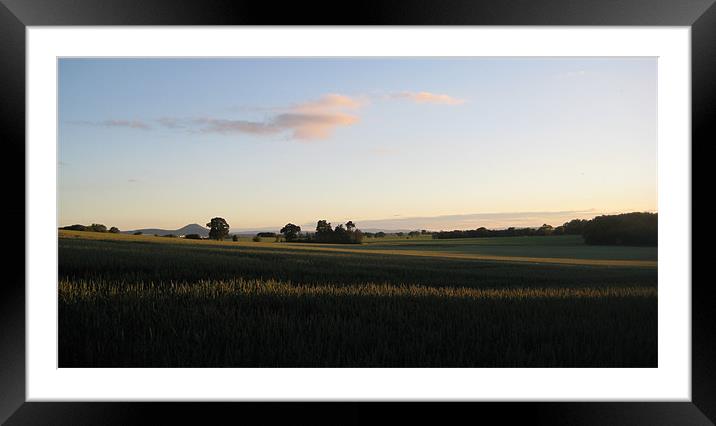 Evening sky Framed Mounted Print by Carol Young