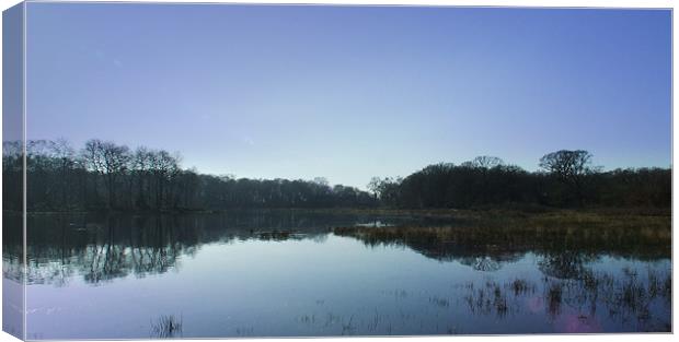 Reflections of a clear blue sky Canvas Print by Carol Young