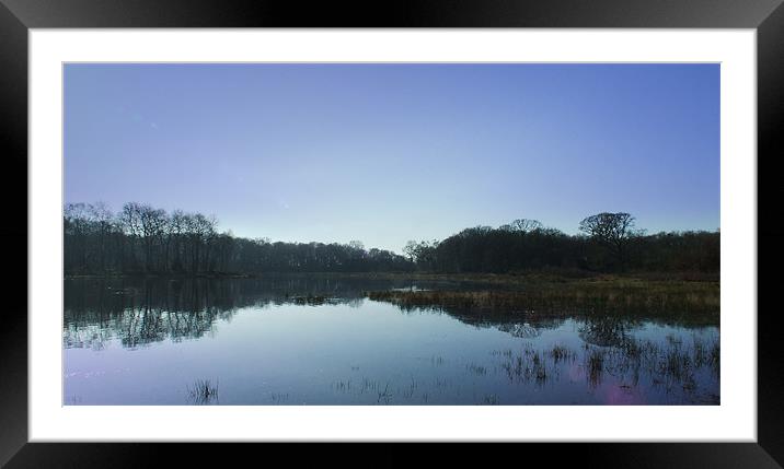 Reflections of a clear blue sky Framed Mounted Print by Carol Young