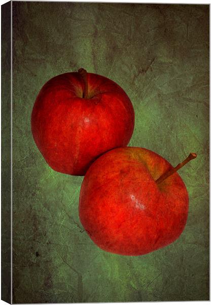 Two red apples.. Canvas Print by Nadeesha Jayamanne