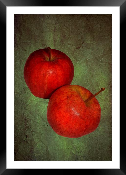 Two red apples.. Framed Mounted Print by Nadeesha Jayamanne