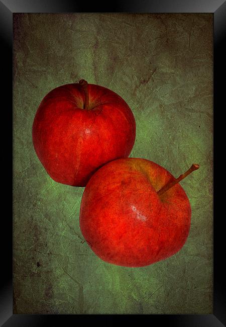 Two red apples.. Framed Print by Nadeesha Jayamanne