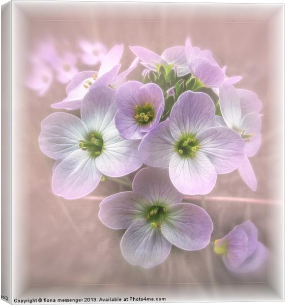 Wild Flowers Canvas Print by Fiona Messenger