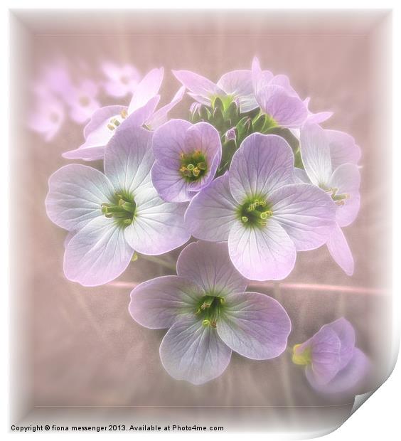 Wild Flowers Print by Fiona Messenger