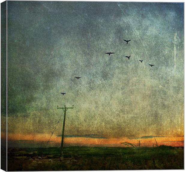 One evening Canvas Print by Dawn Cox
