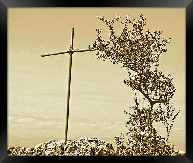 Cross and Thorns Framed Print by Brian Spooner