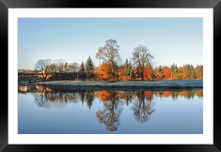 Autumn on the River Don Framed Mounted Print by Vicky Mitchell