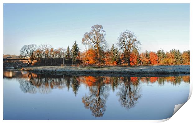 Autumn on the River Don Print by Vicky Mitchell