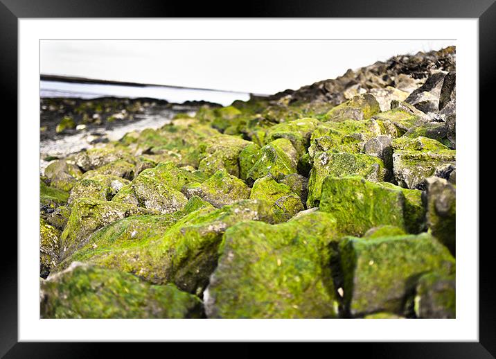 Rocks by the River Framed Mounted Print by Wesley Wren