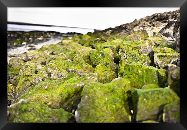Rocks by the River Framed Print by Wesley Wren