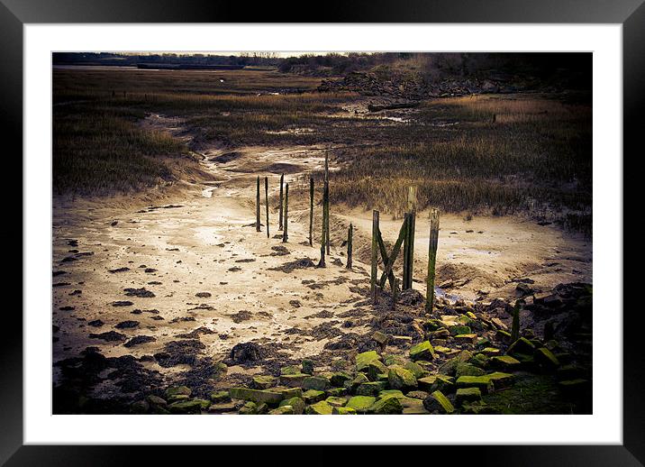 Mud and Moody Framed Mounted Print by Wesley Wren