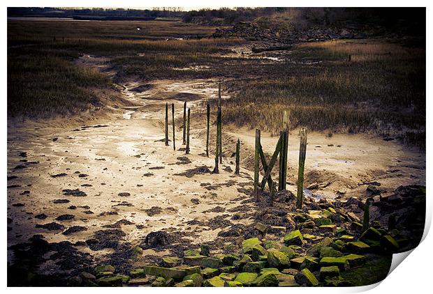 Mud and Moody Print by Wesley Wren