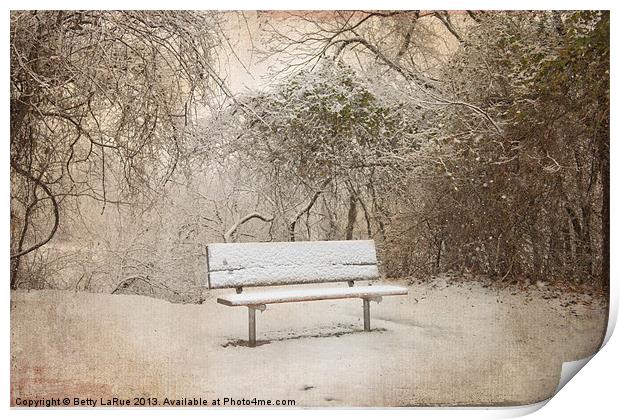 The Lonely Bench Print by Betty LaRue