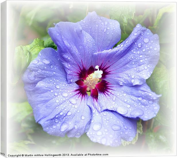 Blue Hibiscus Canvas Print by mhfore Photography