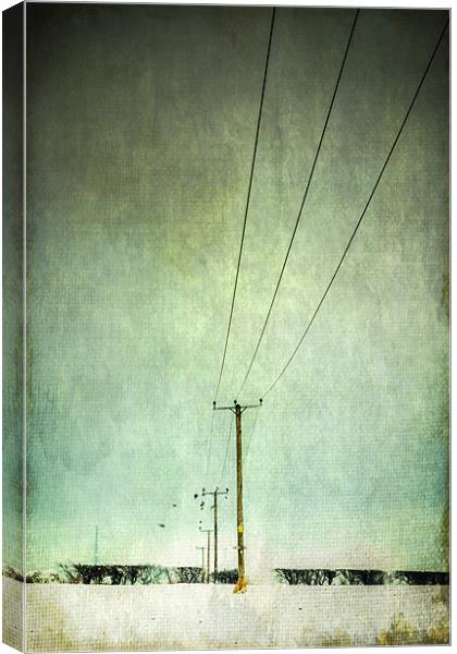 Power lines Canvas Print by Stephen Mole