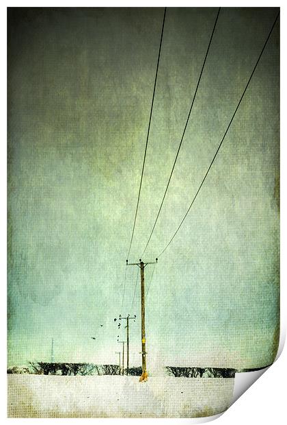 Power lines Print by Stephen Mole