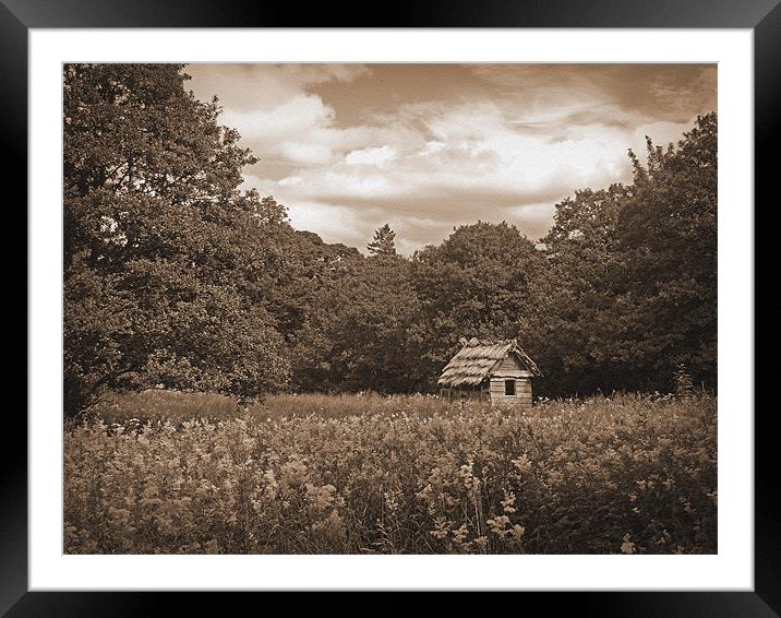 The House in the Woods Framed Mounted Print by Cheryl Quine
