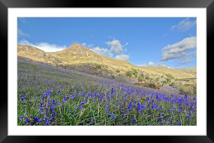 Blue Meadow Framed Mounted Print by Cheryl Quine