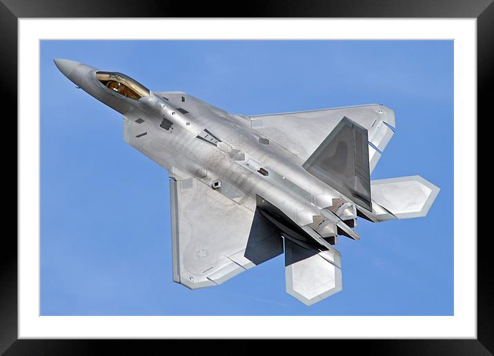 F-22 topside Framed Mounted Print by Rachel & Martin Pics