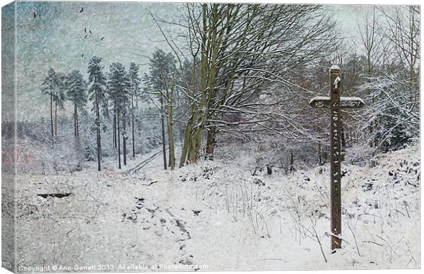 Path in the Snow Canvas Print by Ann Garrett