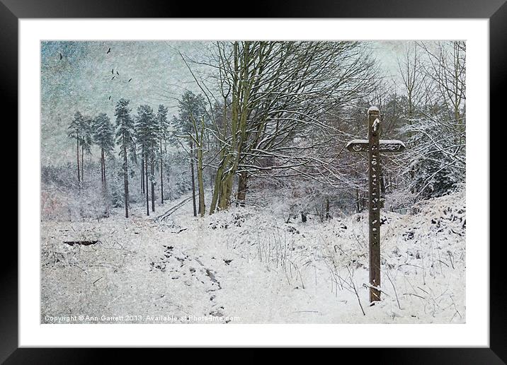 Path in the Snow Framed Mounted Print by Ann Garrett