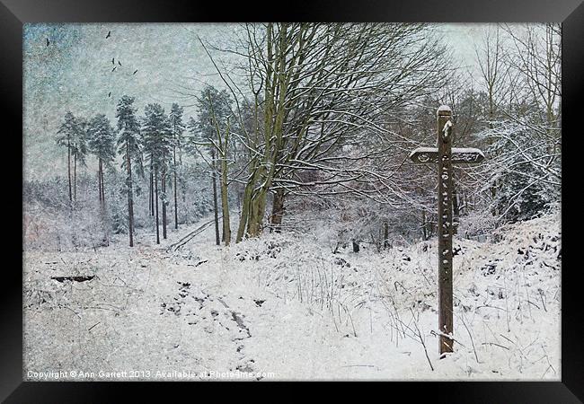 Path in the Snow Framed Print by Ann Garrett