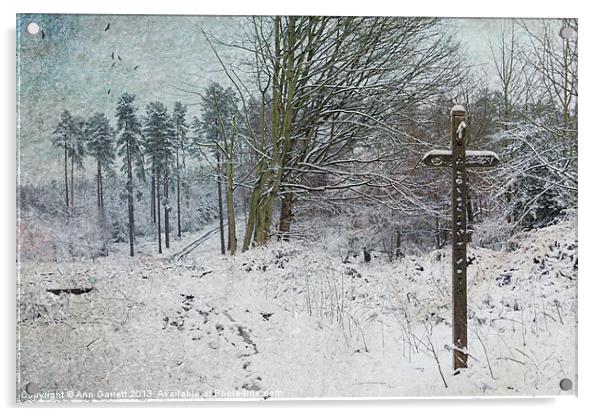 Path in the Snow Acrylic by Ann Garrett