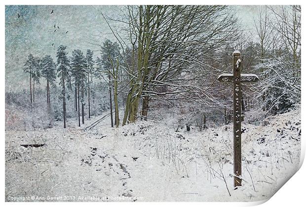 Path in the Snow Print by Ann Garrett