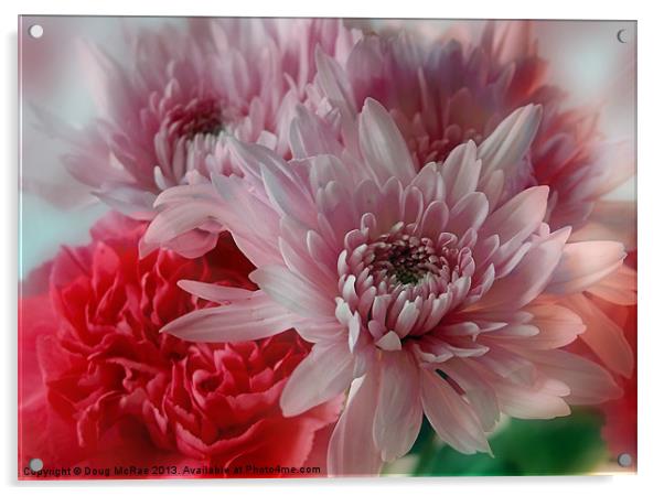Carnation and Chrysanthemums Acrylic by Doug McRae