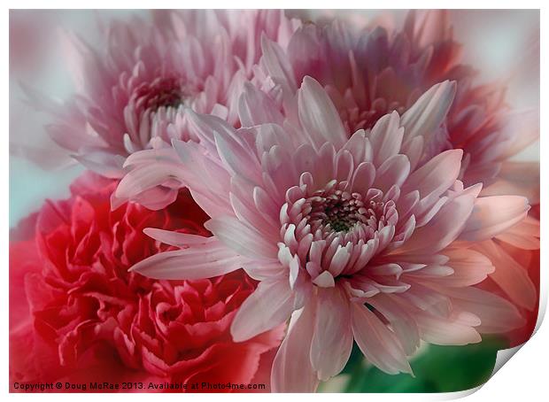Carnation and Chrysanthemums Print by Doug McRae