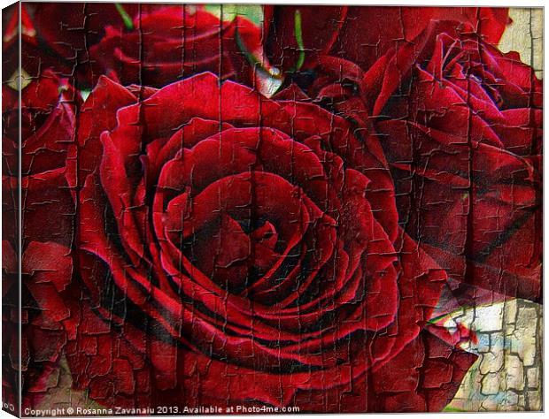 Love Roses. Canvas Print by Rosanna Zavanaiu